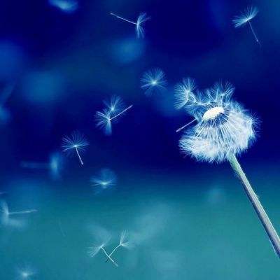 火博体育全站下载版